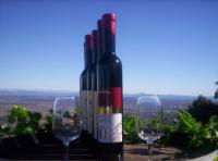 Mount Tamborine Winery & Homestead - Accommodation Bookings 0