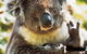 Gorge Wildlife Park - thumb 0