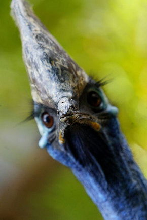 Symbio Wildlife Gardens - Accommodation Bookings 2