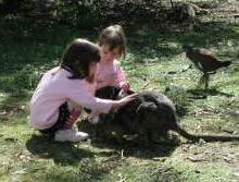 Urimbirra Wildlife Park - Accommodation Bookings 1