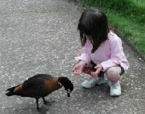 Urimbirra Wildlife Park - Accommodation Bookings 3
