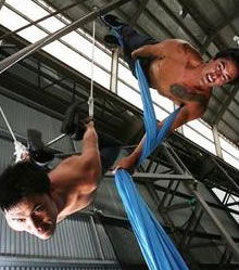 Sydney Trapeze School - Accommodation Bookings 2