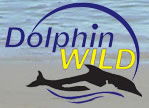 Dolphin Wild - Accommodation Bookings 0