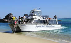 Dolphin Wild - Accommodation Bookings 2