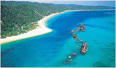 Dolphin Wild - Accommodation Bookings 3