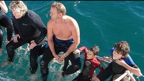 Dolphcom - Dolphin & Whale Swimming Adventures - Accommodation Bookings 2