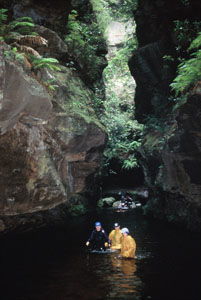 High And Wild Mountain Adventures - Accommodation Bookings 1