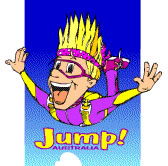 Aerial Skydiving - Accommodation Bookings 0