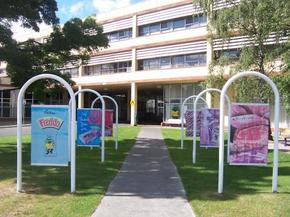 Cadbury Chocolate Factory Tour - Accommodation Bookings 2