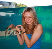 Crocosaurus Cove - Accommodation Bookings