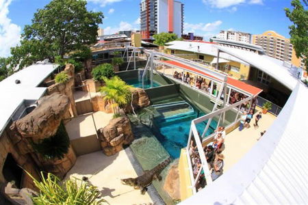 Crocosaurus Cove - Accommodation Bookings 1