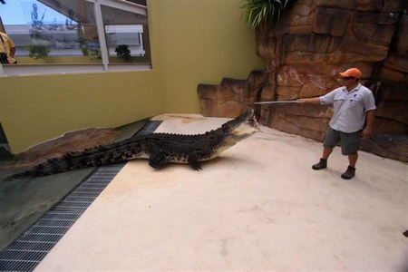 Crocosaurus Cove - Accommodation Bookings 2
