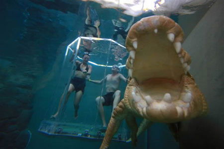 Crocosaurus Cove - Accommodation Bookings 3