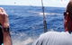 Downunder Charters - thumb 3