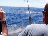 Downunder Charters - Accommodation Bookings 3