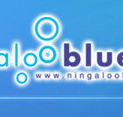 Ningaloo Blue Dive - Accommodation Bookings