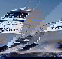 Sunshine Coast Fishing Charters - Accommodation Bookings