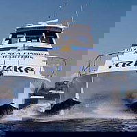 Sunshine Coast Fishing Charters - Accommodation Bookings 0