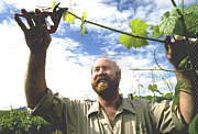 Roseworthy SA Accommodation Bookings
