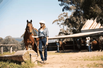 Watsons Trail Rides - Accommodation Bookings