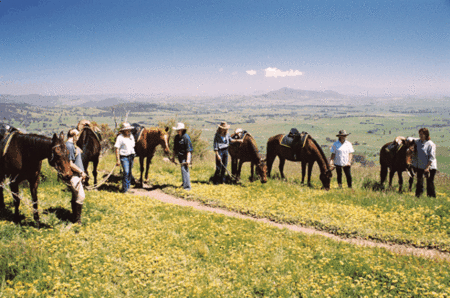 Watsons Trail Rides - thumb 1