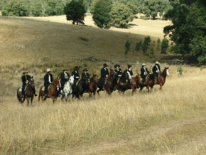 McCormacks Mountain Valley Trail Rides - Accommodation Bookings