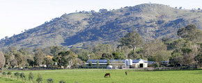Blue Gum Farm - Accommodation Bookings 1