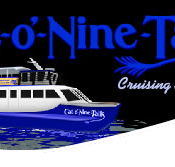 Cat O' NineTails - Accommodation Bookings