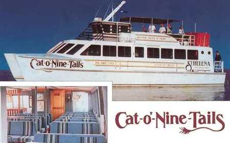 Cat O' NineTails - Accommodation Bookings 1