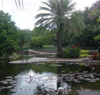 Brisbane City Botanic Gardens - Accommodation Bookings
