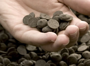 Margaret River Chocolate Company - Accommodation Bookings 1