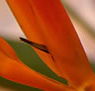 Zen Day Spa - Accommodation Bookings