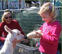 The Sun Herald Sydney Family Show - Accommodation Bookings 2