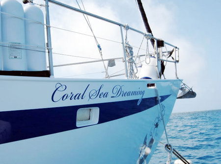 Coral Sea Dreaming Dive And Sail - Accommodation Bookings 2