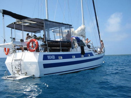 Coral Sea Dreaming Dive And Sail - Accommodation Bookings 3