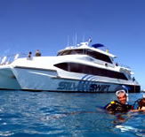 Silver Swift - Accommodation Bookings