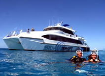 Silver Swift - Accommodation Bookings 0