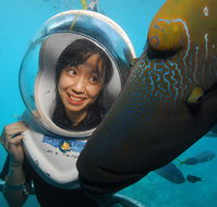 Sunlover Reef Cruises - Accommodation Bookings