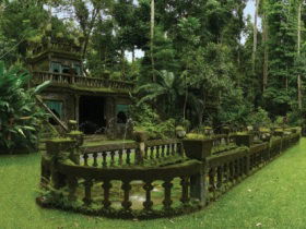Paronella Park - Accommodation Bookings 2