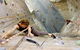 Cliffhanger Climbing Gym - thumb 2