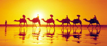 Banksia Adventures - Accommodation Bookings 1