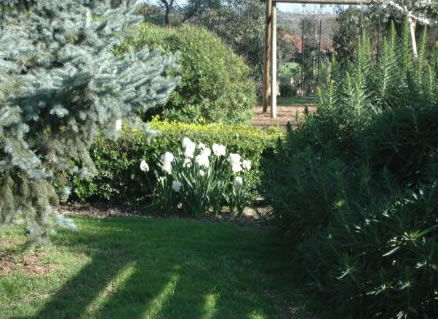 The Old Cheese Factory - Accommodation Bookings 2