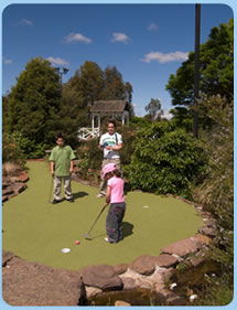 Wetlands Mini Golf - Accommodation Bookings 0