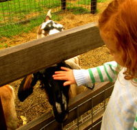 Collingwood Children's Farm - Accommodation Bookings
