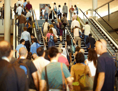 Brisbane Convention & Exhibition Centre - Accommodation Bookings 5