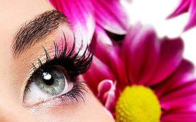 Glow Retreat - Accommodation Bookings 5
