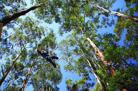 FreemanX Experience - Accommodation Bookings 5