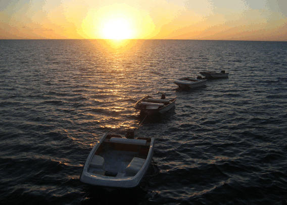 Carlo Fishing Charters - Accommodation Bookings 2