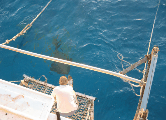 Carlo Fishing Charters - Accommodation Bookings 4