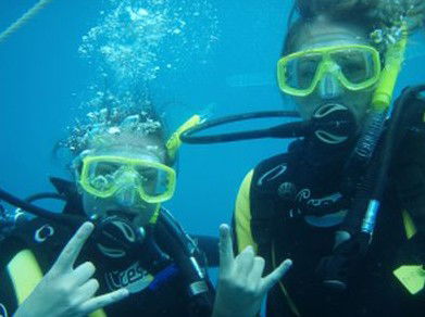 Snorkel Safari Brisbane - Accommodation Bookings 5